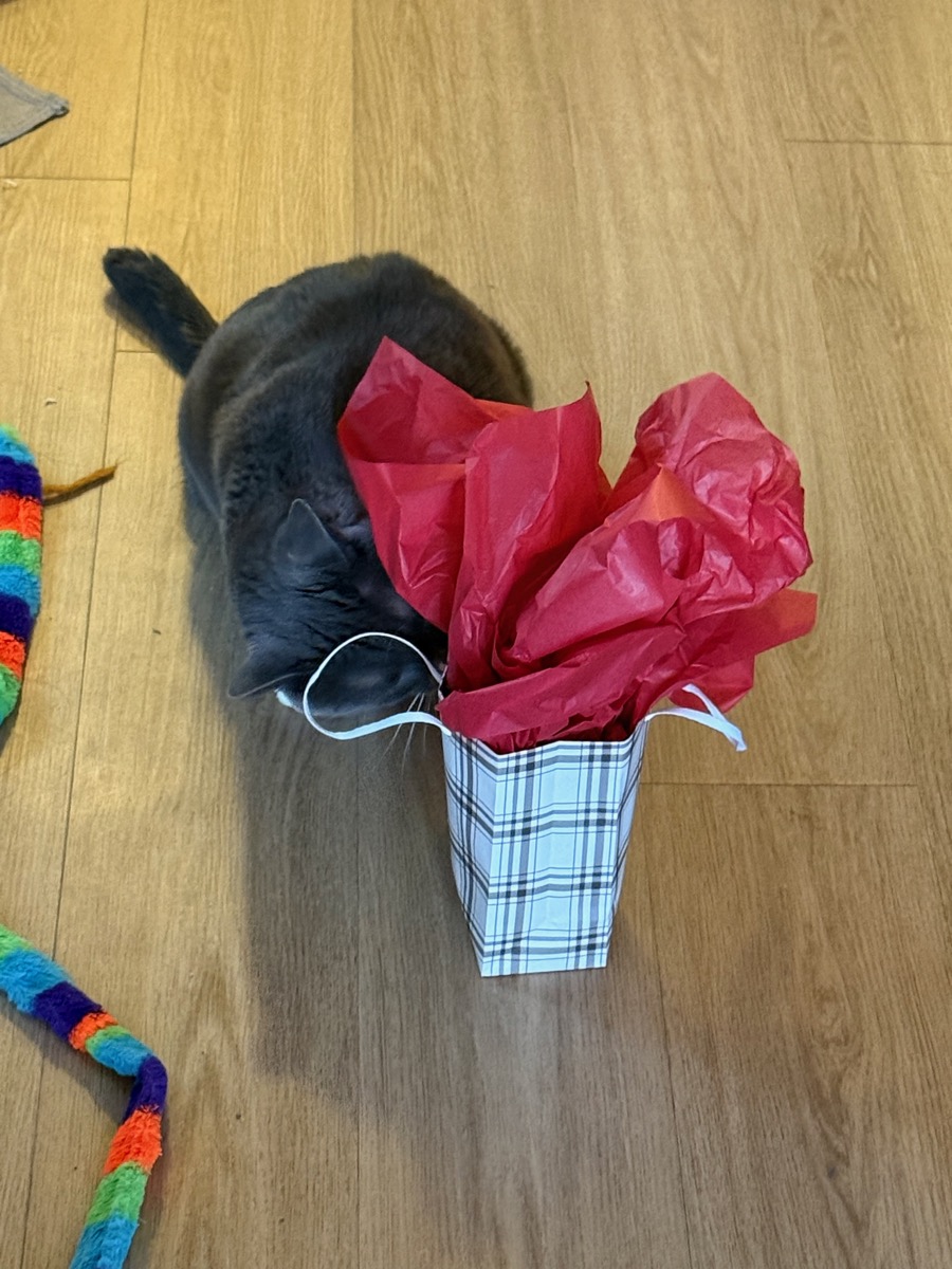 First Christmas together